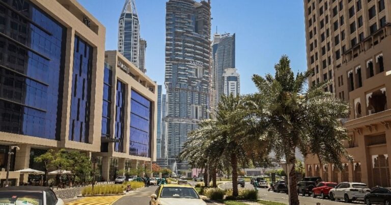 ‘The Donald of Dubai’: property tycoon seeks to become data king