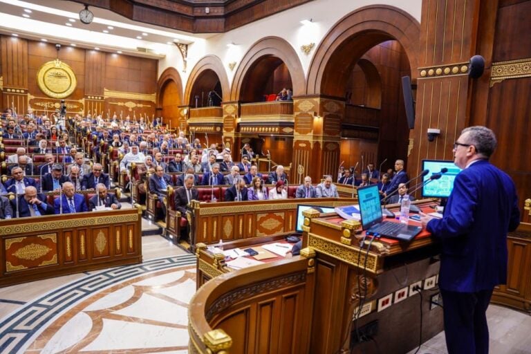 Development plan through 2029/30 balances economic growth with social protection: Rostom
