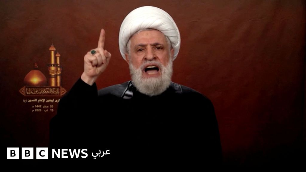 حزب الله يرفض اتفاق وقف إطلاق النار بين إسرائيل ولبنان ويصفه بأنه “استسلام وهزيمة”