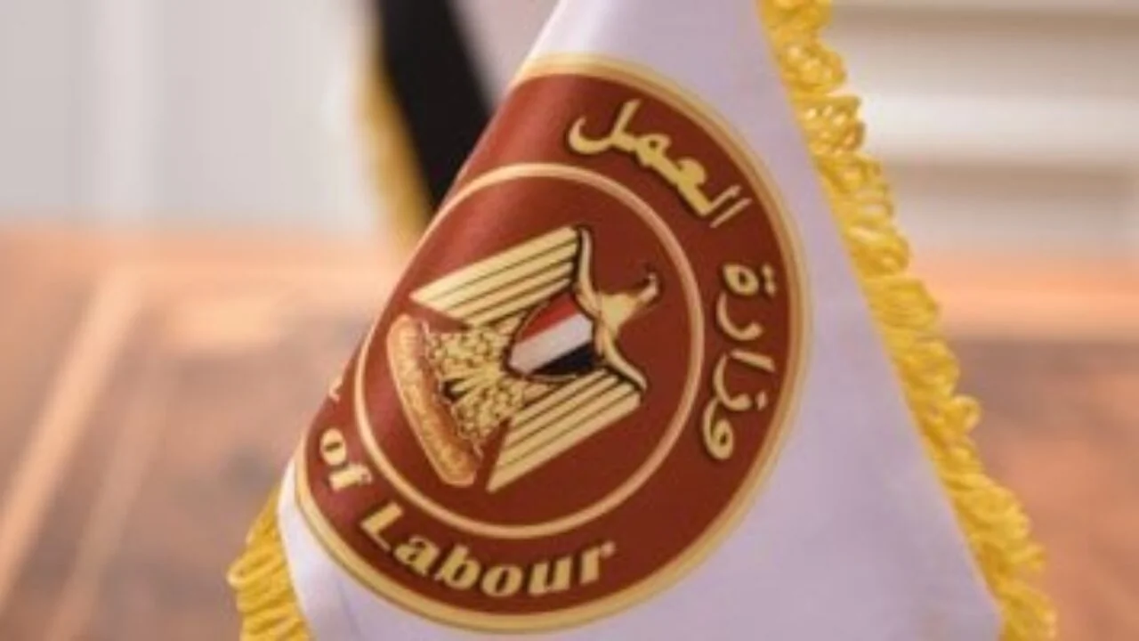 وزارة العمل تعلن عن فرص عمل متنوعة برواتب تصل إلى 14500 جنيه.. قدم الآن