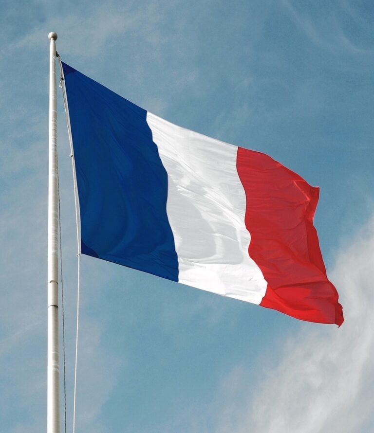 Egypt, France probe strengthening development partnerships