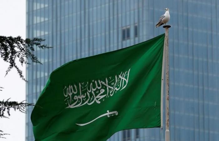 المملكة تدعو لتعاون دولي لمكافحة الاتجار غير المشروع بالأسلحة