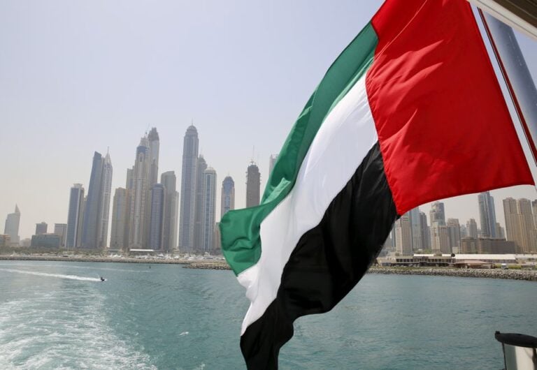 Egyptian, UAE FMs tackle regional developments