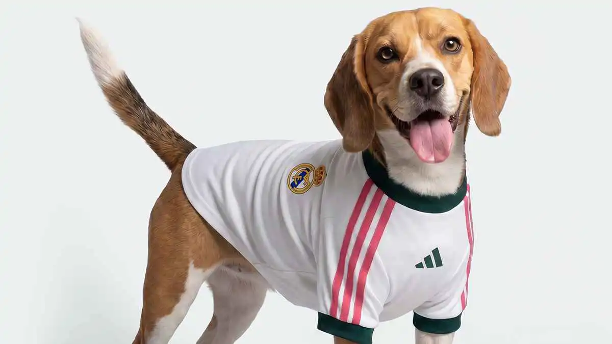 رسميًا.. أديداس تطلق قميص “ريال مدريد الرسمي للكلاب” لموسم 2026 (صور)